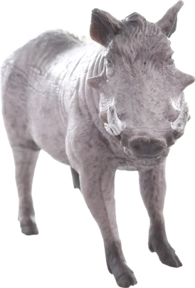 Idealno za učenje in zbiranje