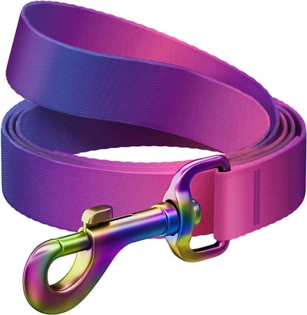 Guinzaglio per cani WAUDOG nylon gradiente, largo 15 mm, lungo 122 cm, viola