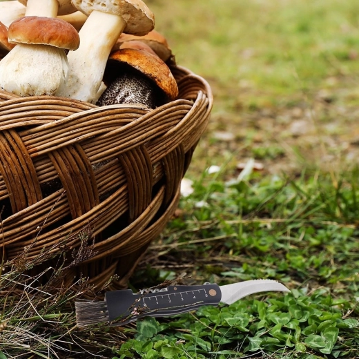 Integrierter Pinsel und Maß 1–5 cm