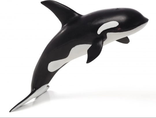 Mojo Deluxe Orca
