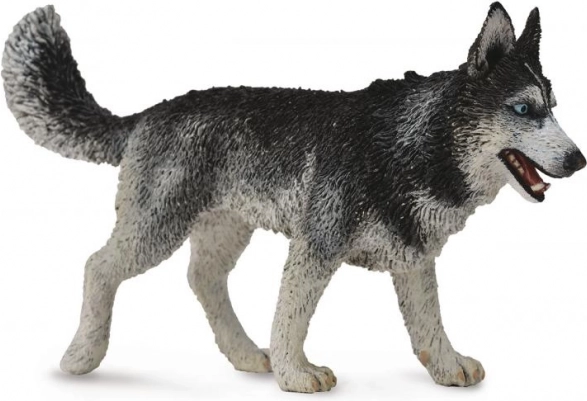 Collecta Siberian Husky – figurine