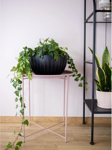 Design rigato di stile