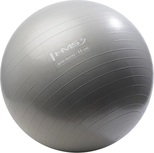 HMS Gym Ball 55 cm Grey
