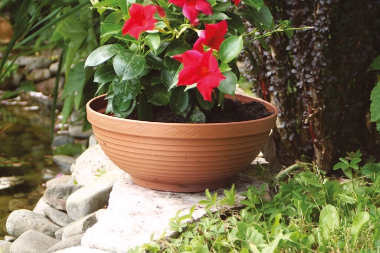 Pour l’appartement et le jardin