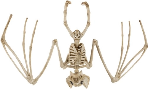Bat skeleton 30 cm – Halloween hanging decoration
