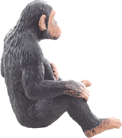 Ideale per apprendimento e creatività