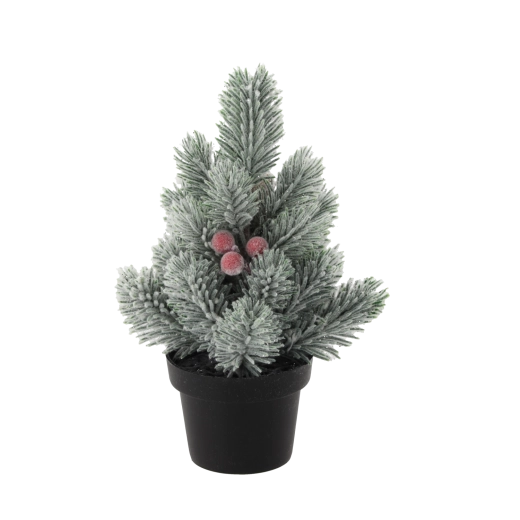 Aiguilles réalistes avec effet hivernal