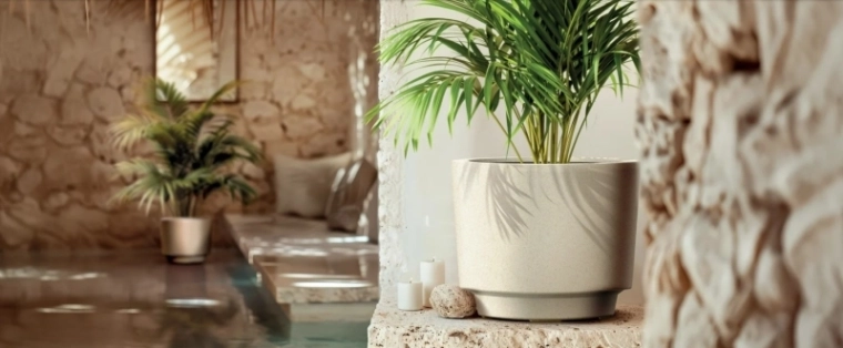 Plenty of room to grow