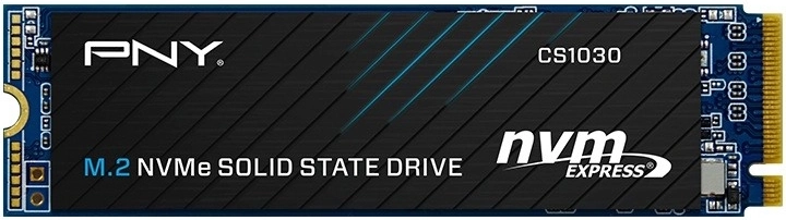 Disk SSD 256 GB CS1030 M.2 2280 PCIe bulk - 1 kus