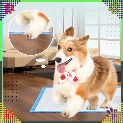 Udobje za mladiče in starejše pse