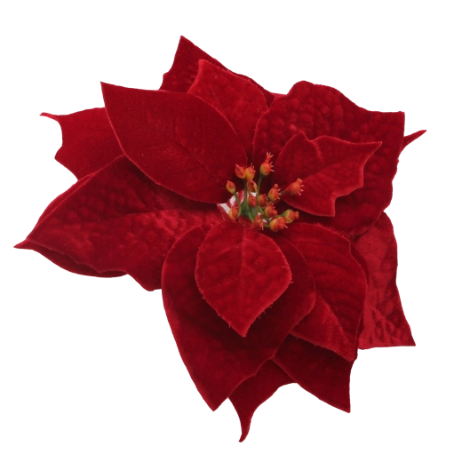 Bordeaux élégant pour une atmosphère festive