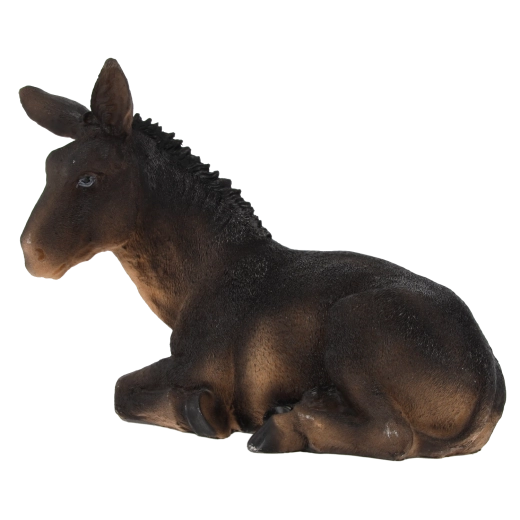 Realistische Details und natürliche Farben