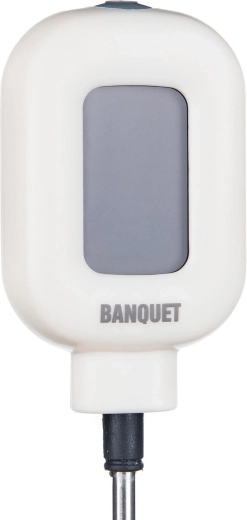 Pregledan digitalni zaslon