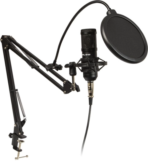 Studio microphone with holder
