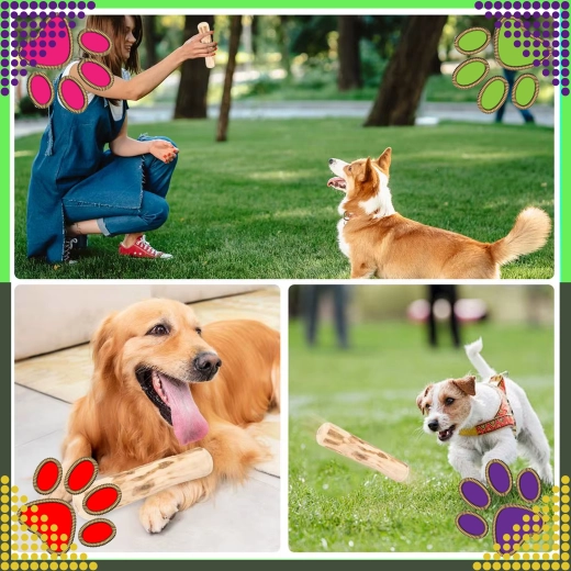 Divertimento per masticare e riportare