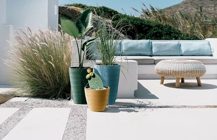 Design nervuré moderne