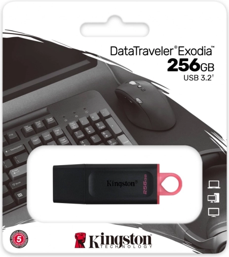 USB flash disk DataTraveler Exodia 256GB USB 3.2 Gen 1