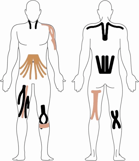 Universal application for the whole body