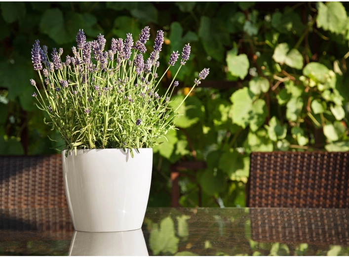 Convient à l’intérieur comme à l’extérieur
