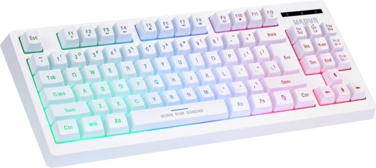Tastiera TKL compatta con retroilluminazione