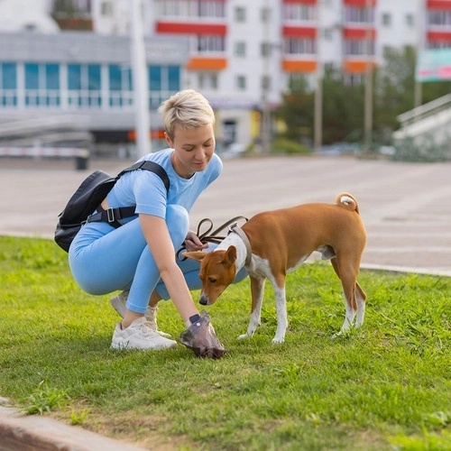 Poop bags included in the pack