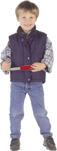 Veilige vaardigheidstraining