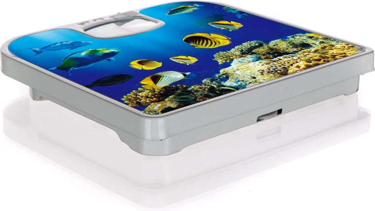 Stylish underwater world decor