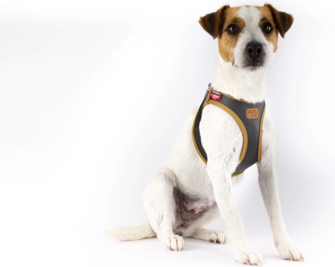 Ergonomie Comfort Fit et répartition sûre de la traction