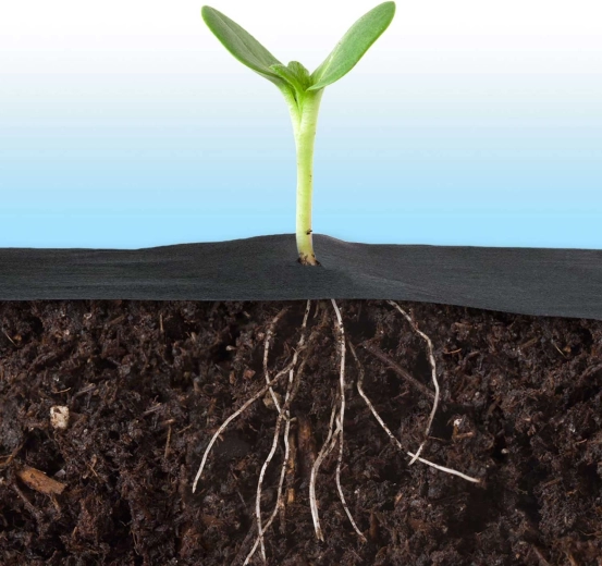 Traspirante e permeabile all’acqua per radici sane