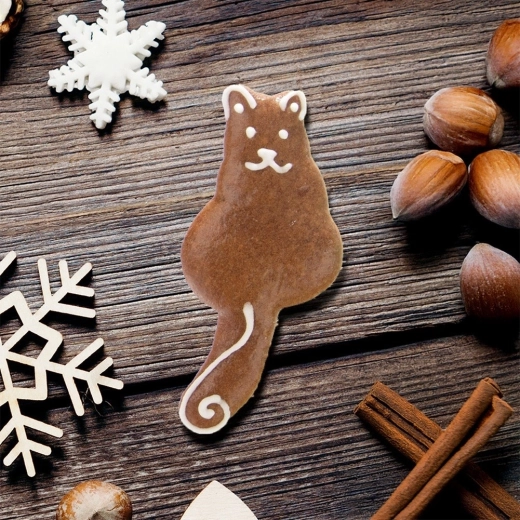 Kreativno okraševanje za praznike in skozi vse leto