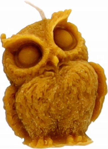 Détails fidèles de la chouette