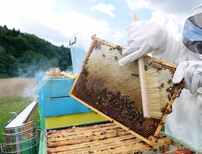 Nežno ometanje čebel brez stresa