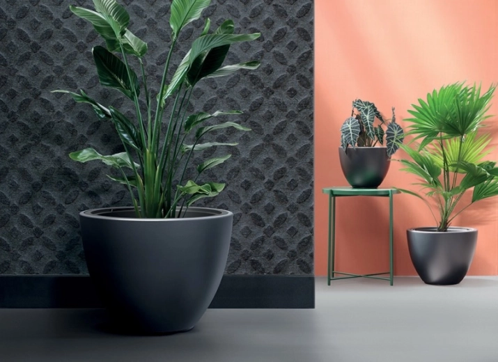 Design moderne et minimaliste