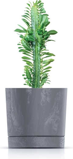 Effet béton moderne en coloris crème