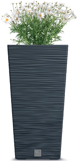 Résistant en intérieur comme en extérieur