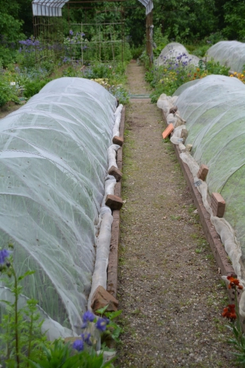 Utilisation polyvalente pour plates-bandes et arbustes