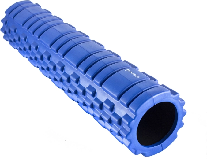 Universal length for large muscle groups