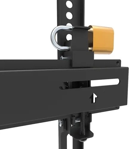 Secure mounting with lockable option