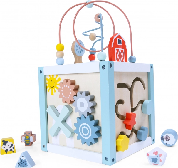 Wooden educational cube with shapes ECOTOYS