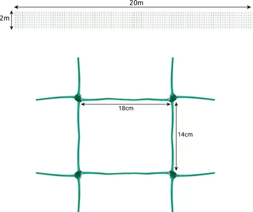 Large 2 × 20 m area for abundant growth