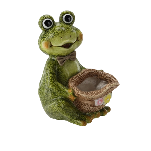 Practical dimensions for various types of planting