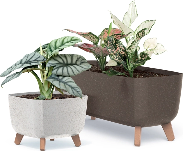 Design à décor bois pour la maison et la terrasse