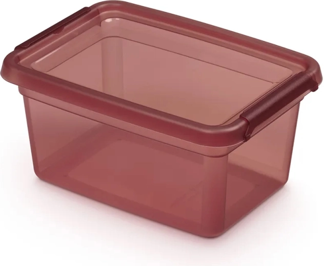 Basestore boîte alimentaire avec couvercle et clips Rhubarb 1,5 l