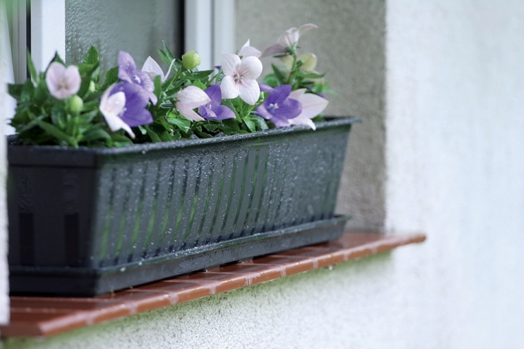 Idéale pour balcons et appuis de fenêtre