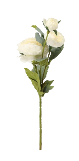 Idéale pour vase et compositions