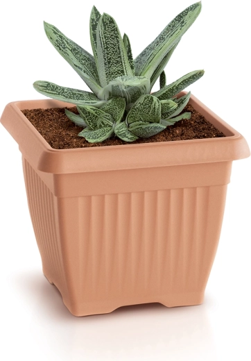 Space for healthy growth