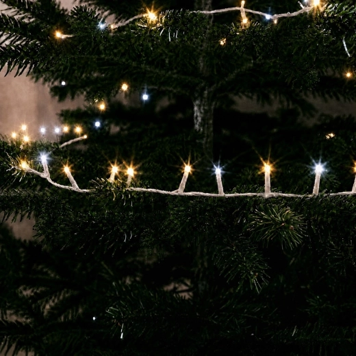 Warm and cool white light