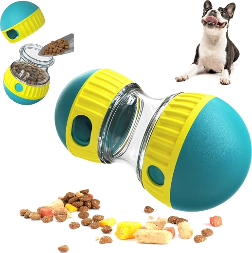 Interactive play and mental stimulation