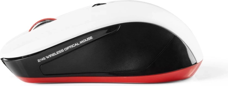 Affidabile connessione wireless 2,4 GHz