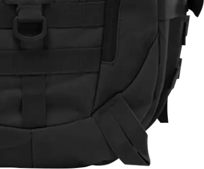 MOLLE/PALS and compression straps for extra gear